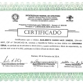 Ampliar imagem: certificate 3