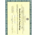 Ampliar imagem: certificate 4