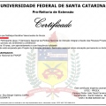 Ampliar imagem: certificate 4