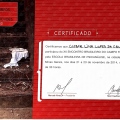 Ampliar imagem: certificate 11