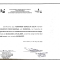 Ampliar imagem: certificate 10