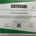 Ampliar imagem: certificate 4