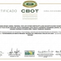 Ampliar imagem: certificate 13
