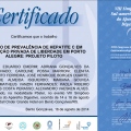 Ampliar imagem: certificate 39