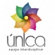 Única Equipe Interdisciplinar