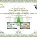 Ampliar imagem: certificate 4