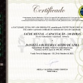 Ampliar imagem: certificate 3