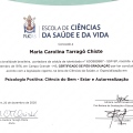 Ampliar imagem: certificate 7