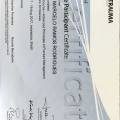 Ampliar imagem: certificate 1