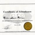 Ampliar imagem: certificate 13