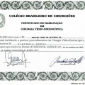 Ampliar imagem: certificate 5
