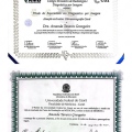 Ampliar imagem: certificate 9