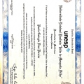 Ampliar imagem: certificate 1
