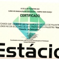 Ampliar imagem: certificate 11
