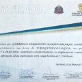 Ampliar imagem: certificate 6