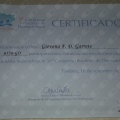 Ampliar imagem: certificate 42