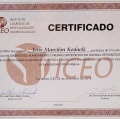 Ampliar imagem: certificate 3