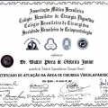Ampliar imagem: certificate 4