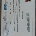 Ampliar imagem: certificate 3