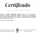 Ampliar imagem: certificate 3