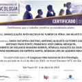 Ampliar imagem: certificate 4