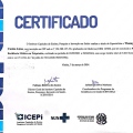 Ampliar imagem: certificate 1