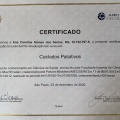 Ampliar imagem: certificate 4