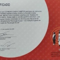 Ampliar imagem: certificate 46