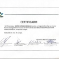 Ampliar imagem: certificate 3