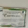 Ampliar imagem: certificate 9