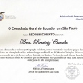 Ampliar imagem: certificate 2
