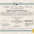 Ampliar imagem: certificate 10