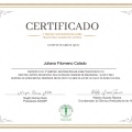 Ampliar imagem: certificate 2