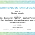 Ampliar imagem: certificate 2