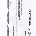 Ampliar imagem: certificate 27
