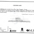 Ampliar imagem: certificate 4