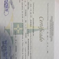 Ampliar imagem: certificate 1