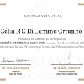 Ampliar imagem: certificate 2