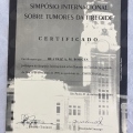 Ampliar imagem: certificate 31