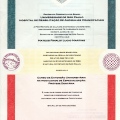 Ampliar imagem: certificate 3