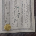 Ampliar imagem: certificate 7