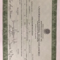 Ampliar imagem: certificate 2