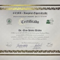 Ampliar imagem: certificate 2