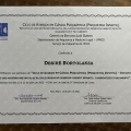 Ampliar imagem: certificate 4
