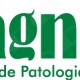 Lab de Patologia Caxias Do Sul - Diagnose