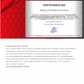 Ampliar imagem: certificate 4