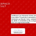 Ampliar imagem: certificate 4
