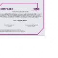 Ampliar imagem: certificate 1