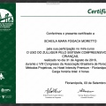 Ampliar imagem: certificate 12