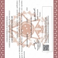 Ampliar imagem: certificate 8